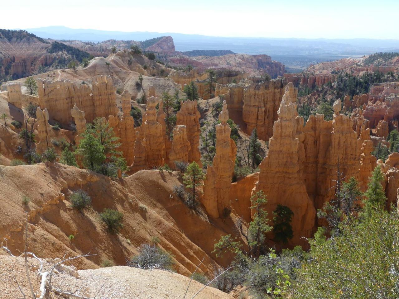 קנונוויל Private, Charming Cabin - Sleeps 5 - The Evergreen - Bryce Canyon National Park מראה חיצוני תמונה